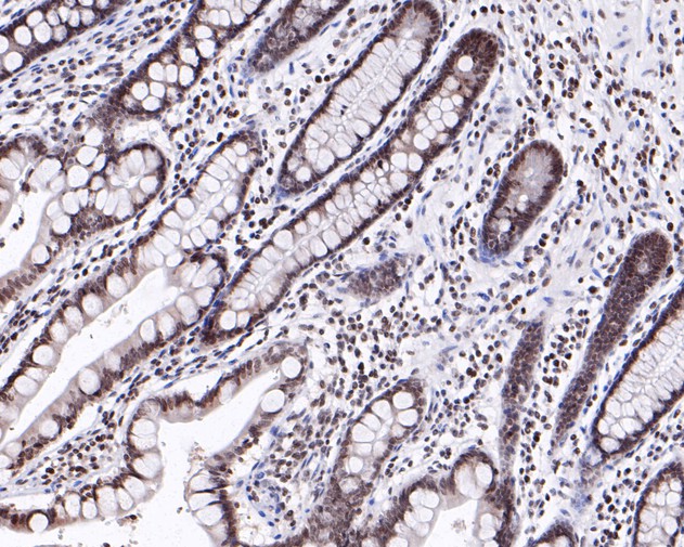 HA750259_7.jpg