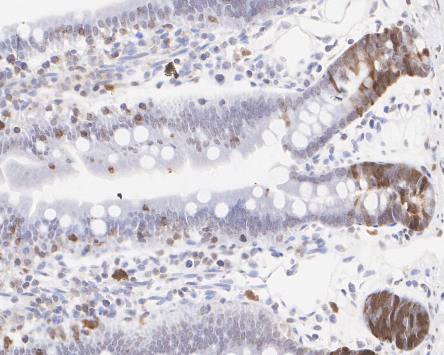 HA750260_5.jpg