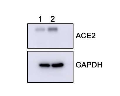 HA750264_4.jpg