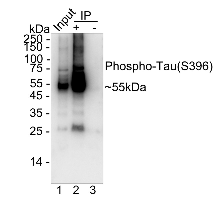 HA750268_11.jpg