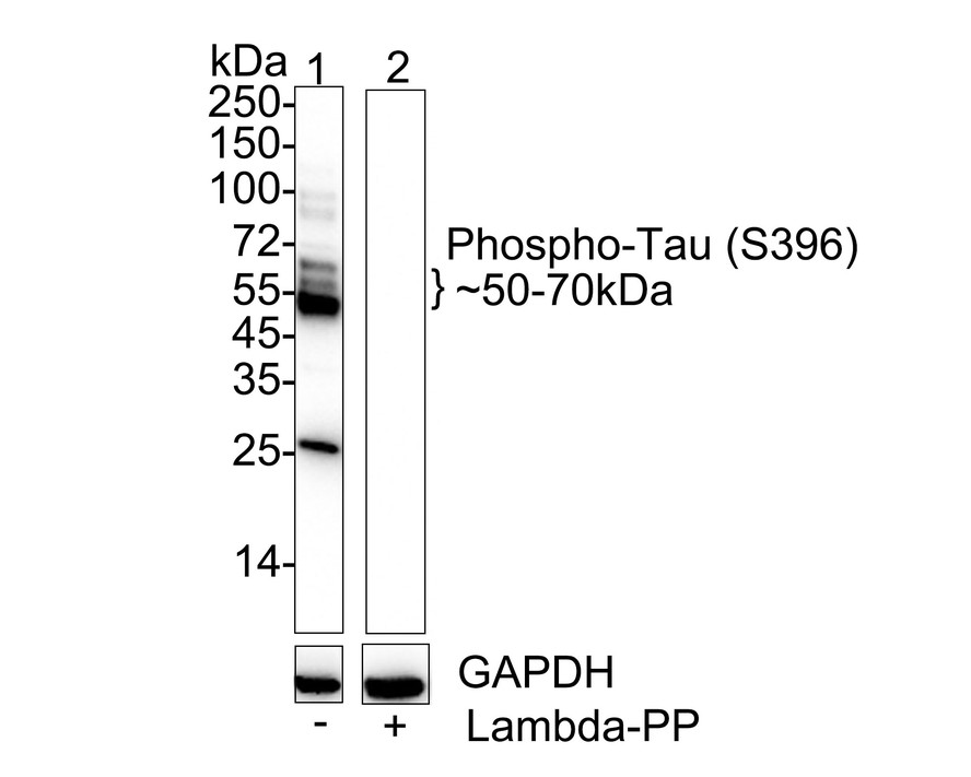HA750268_9.jpg