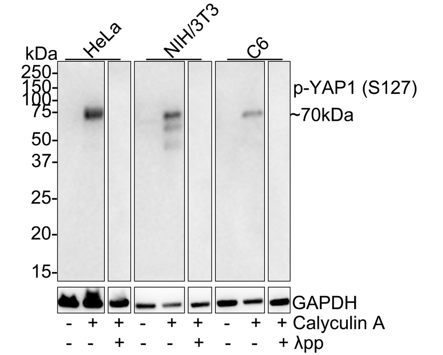 HA750269_3.jpg