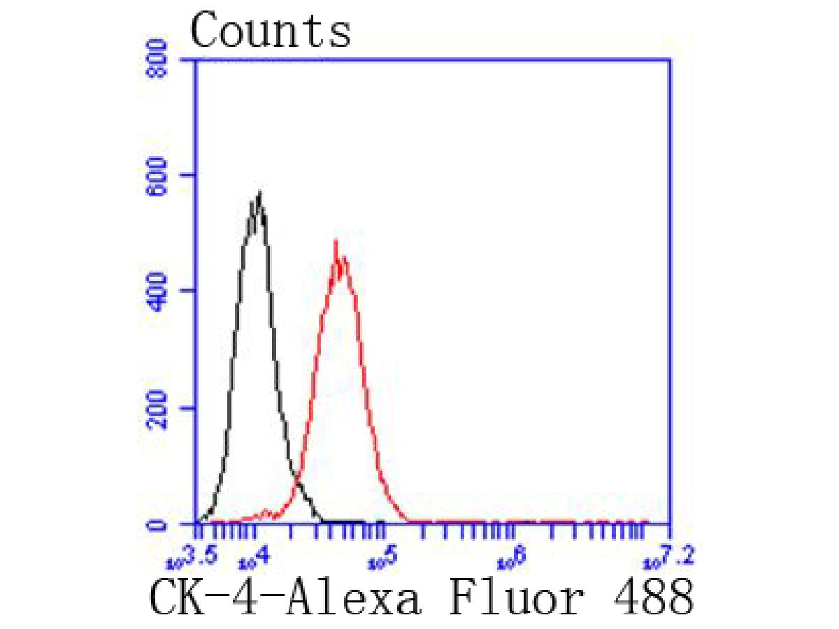 HA750271_5.jpg
