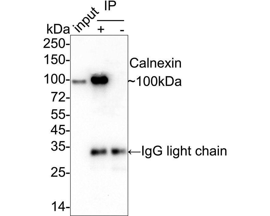 HA750275_10.jpg