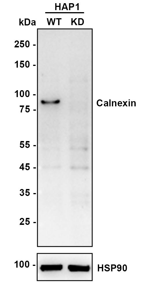 HA750275_2.jpg
