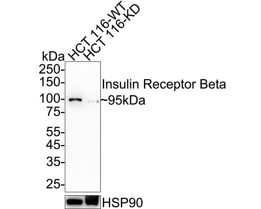 HA750276_1.jpg
