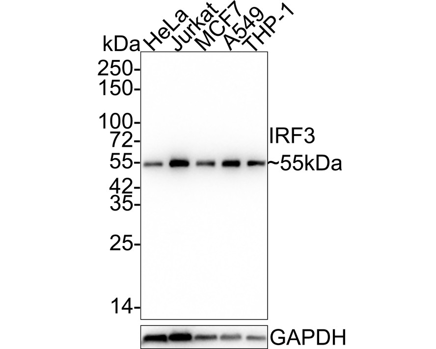 HA750283_1.jpg