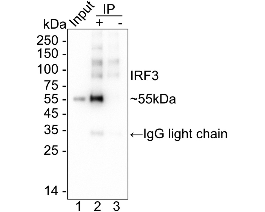 HA750283_17.jpg