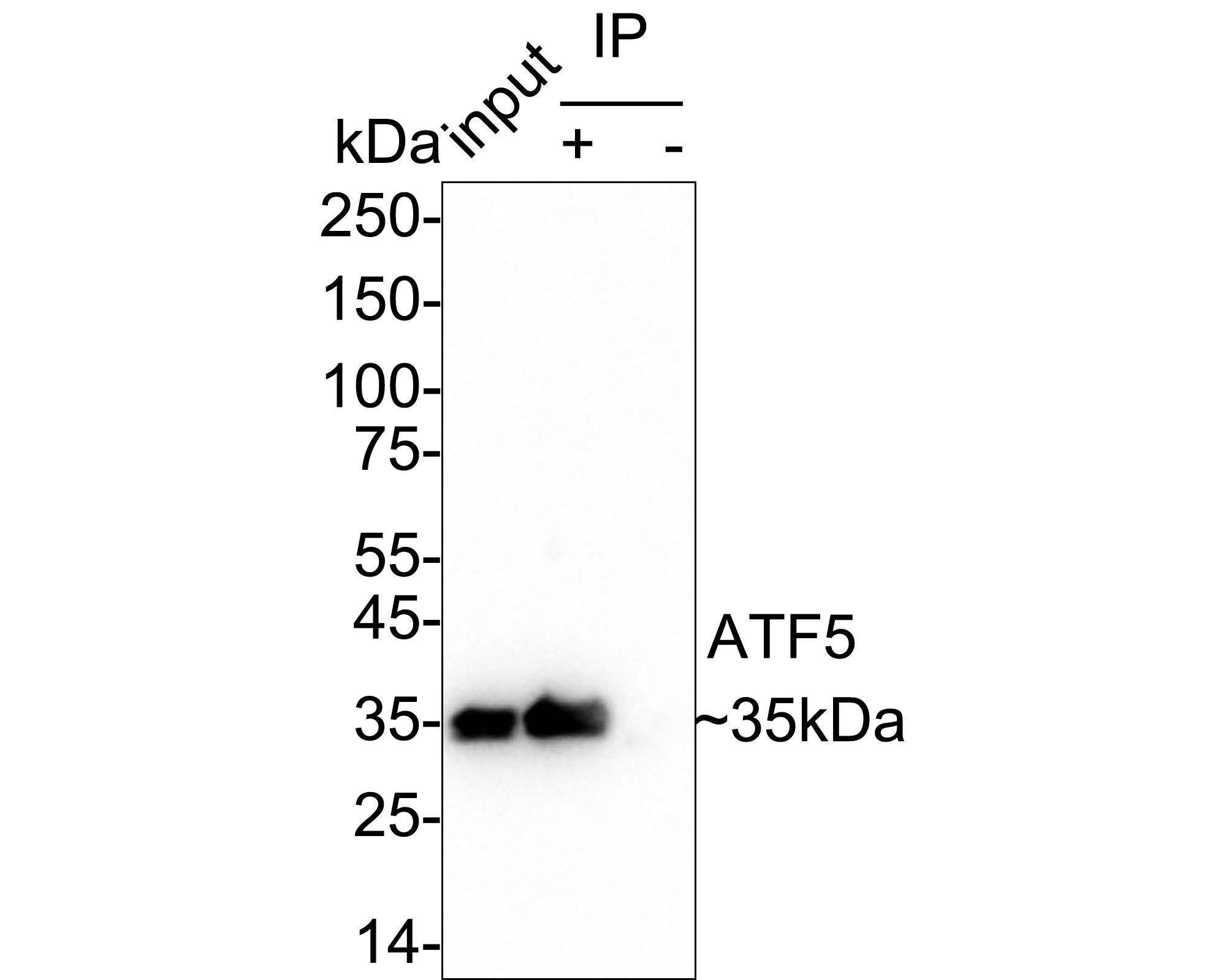 HA750293_12.jpg