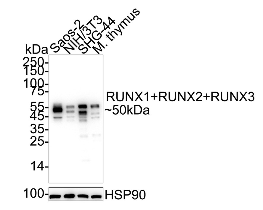 HA750296_1.jpg