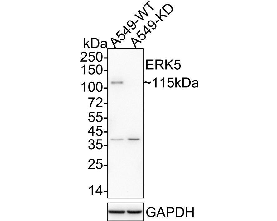 HA750299_2.jpg