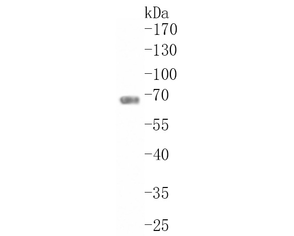 HA750302_2.jpg