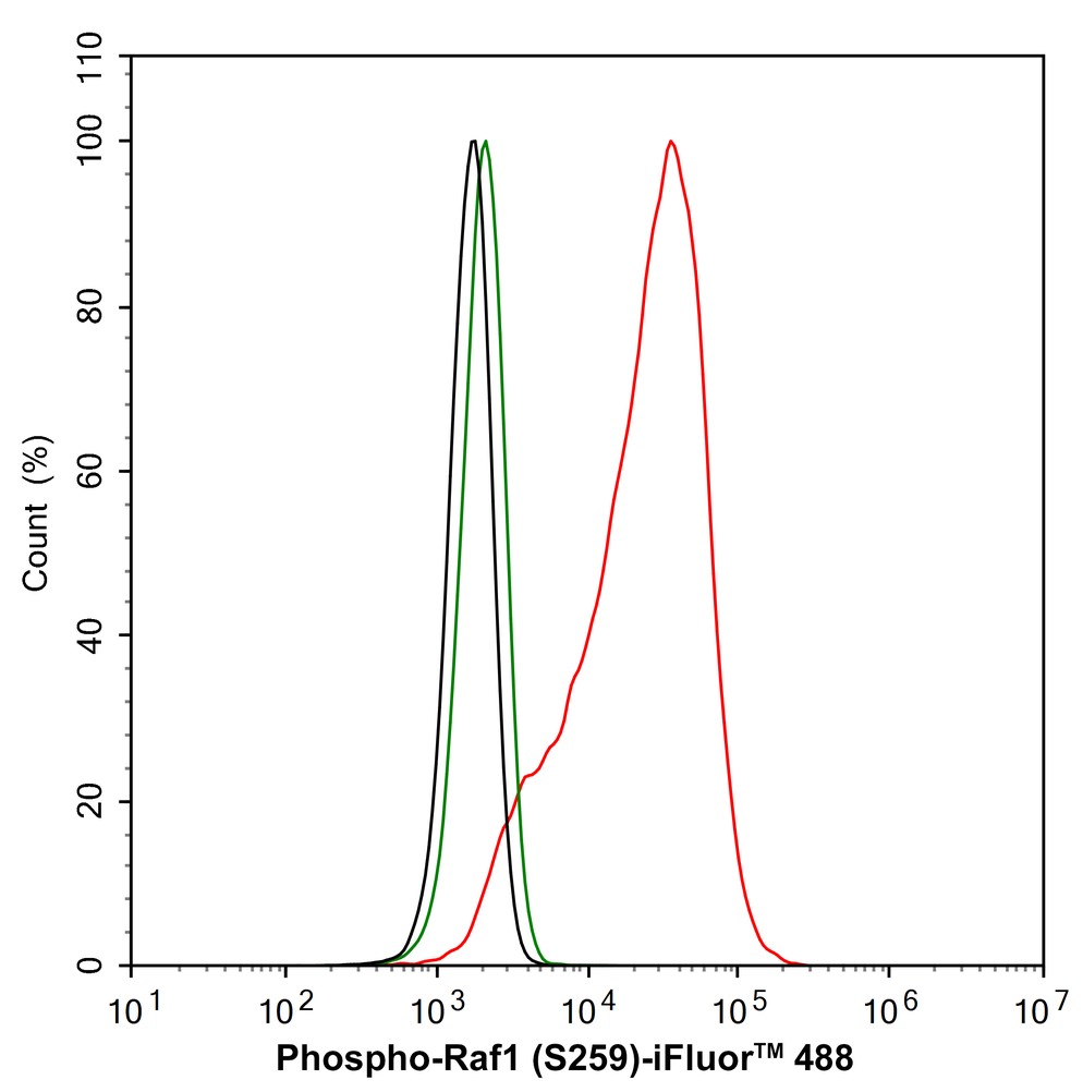 HA750304_8.jpg