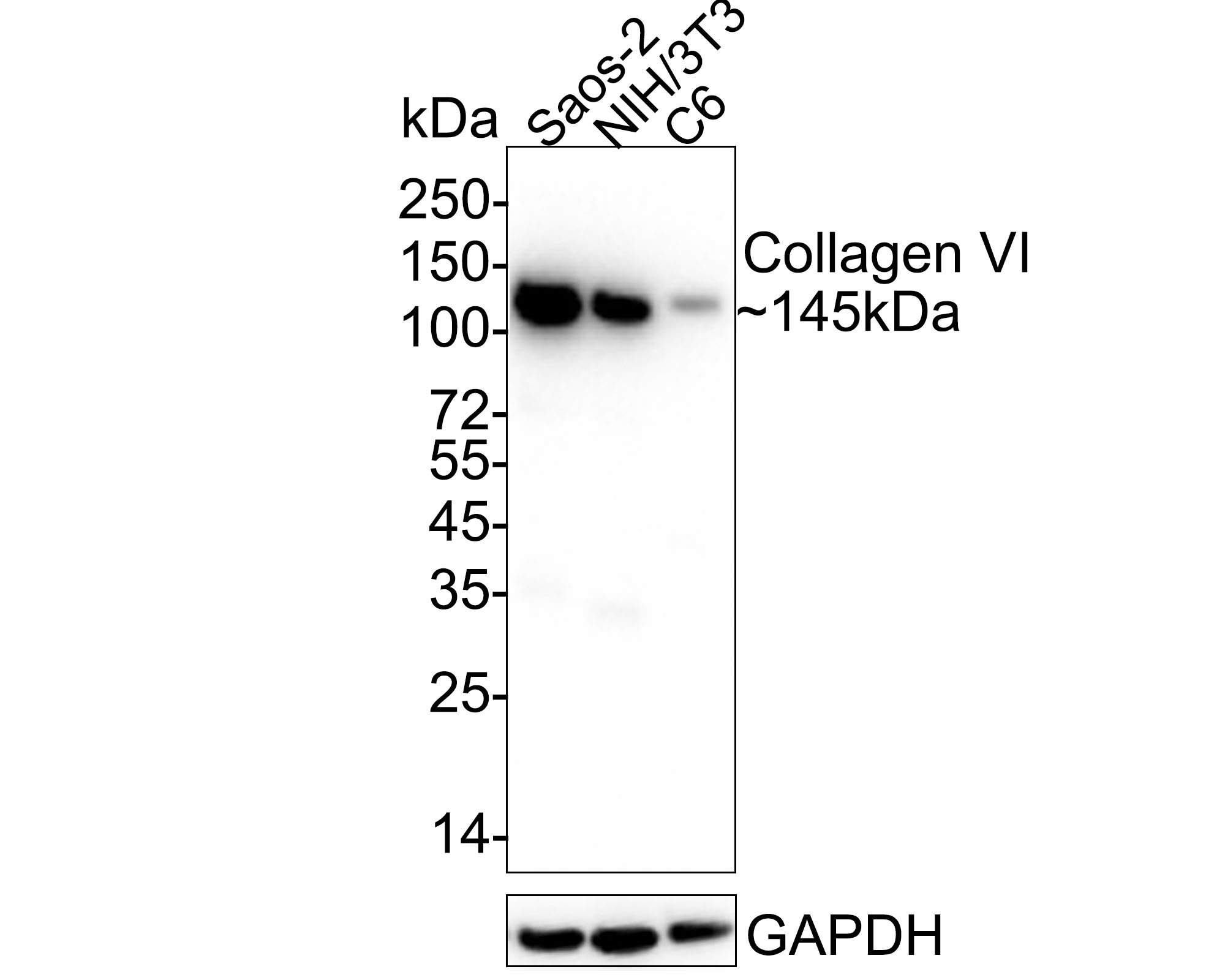 HA750305_2.jpg