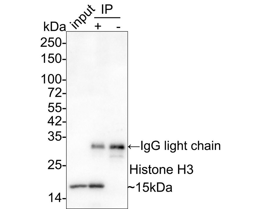 HA750318_11.jpg