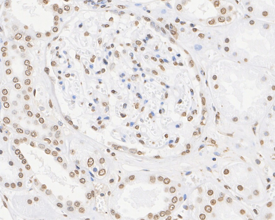 HA750318_3.jpg