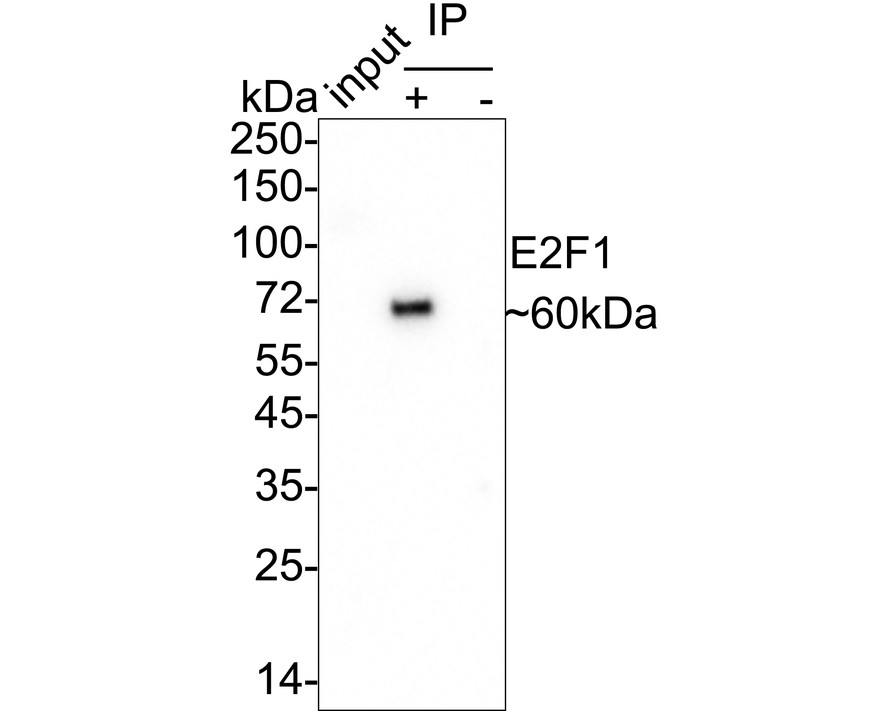 HA750322_11.jpg