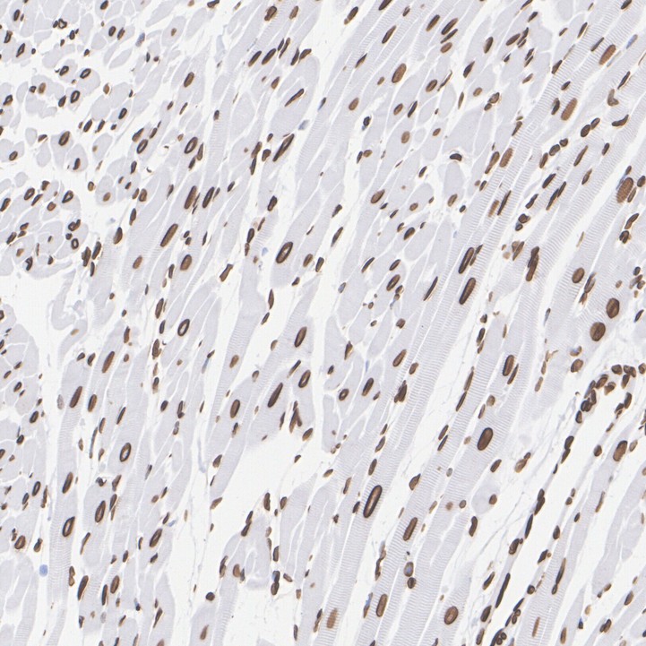 HA750322_8.jpg