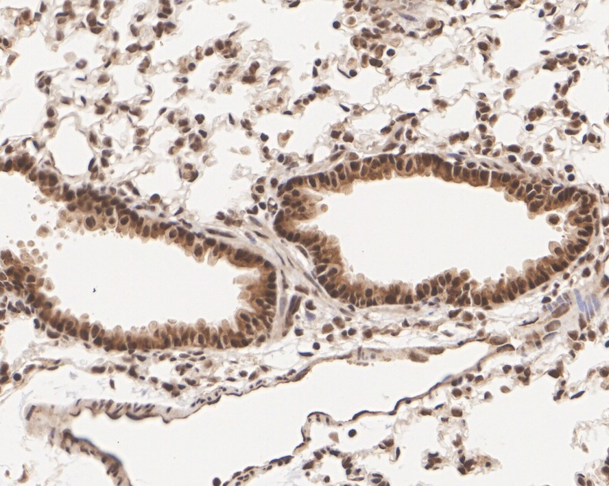 HA750324_6.jpg