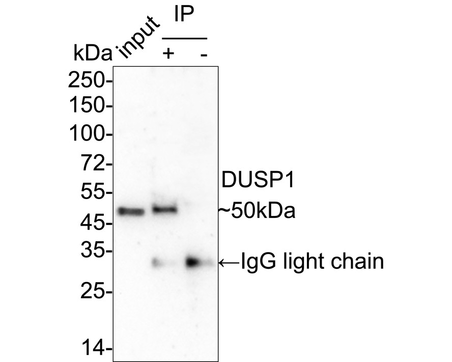 HA750324_7.jpg