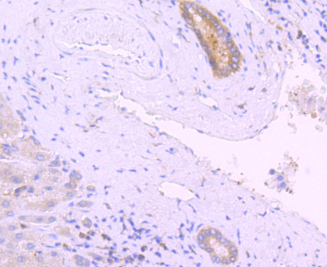 HA750325_6.jpg