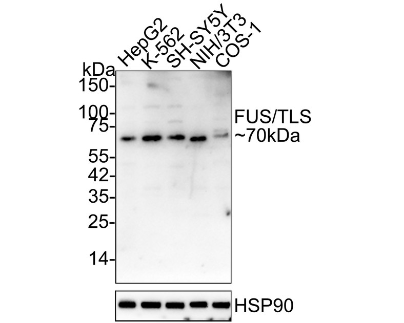 HA750326_1.jpg