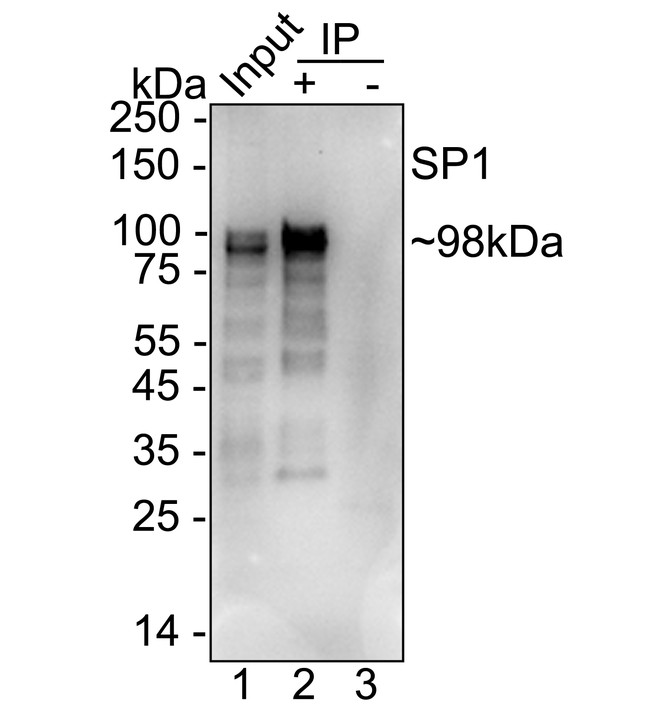 HA750330_10.jpg