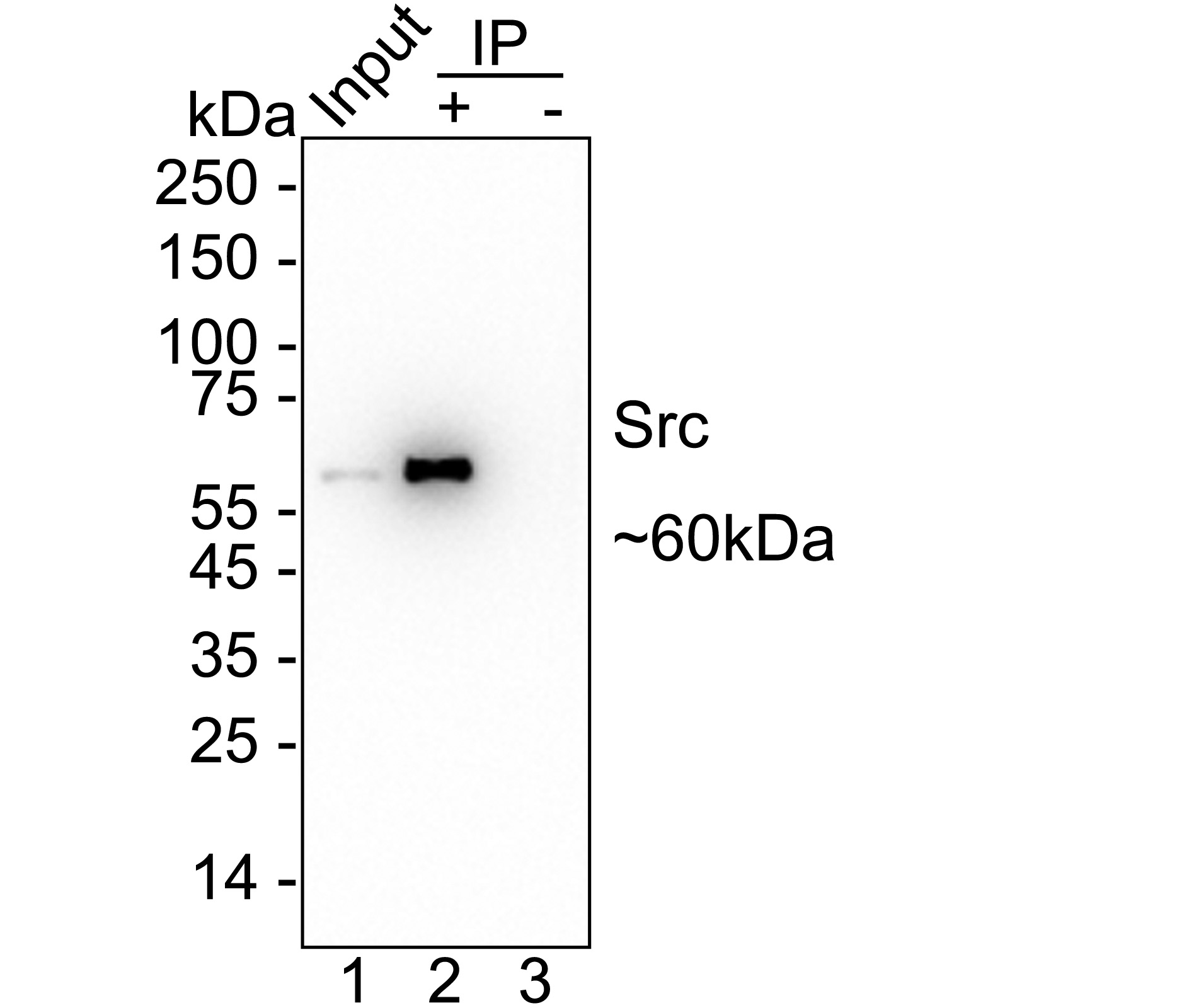 HA750331_10.jpg