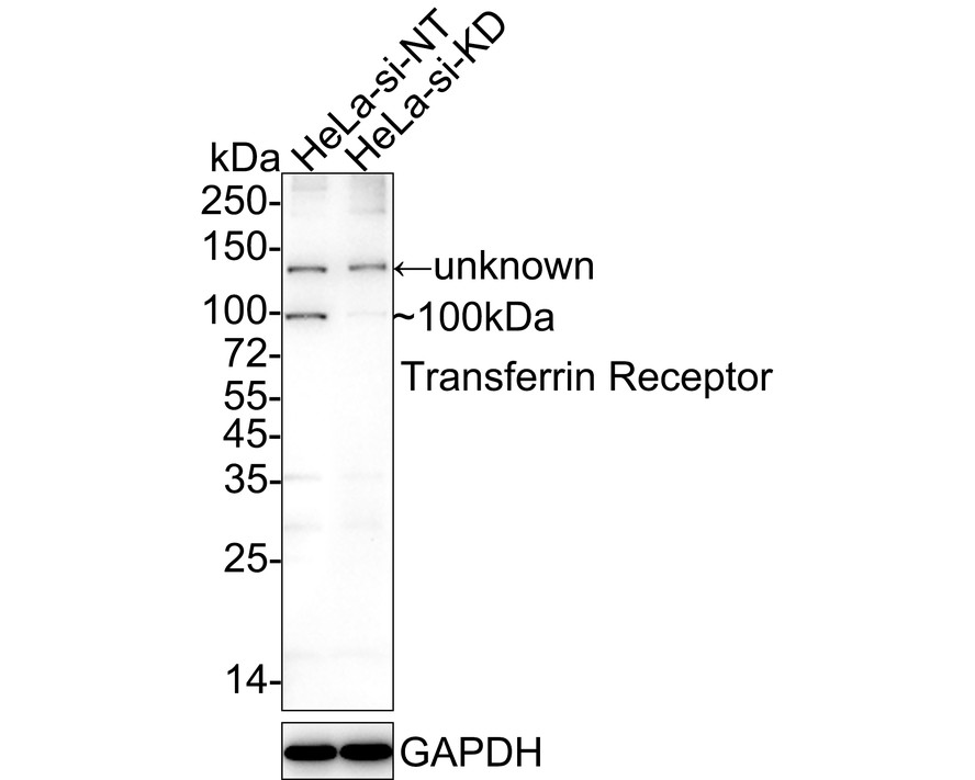 HA750333_2.jpg