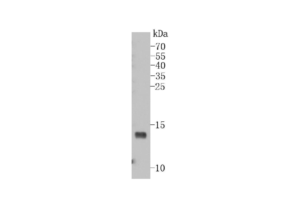 HA750334_3.jpg
