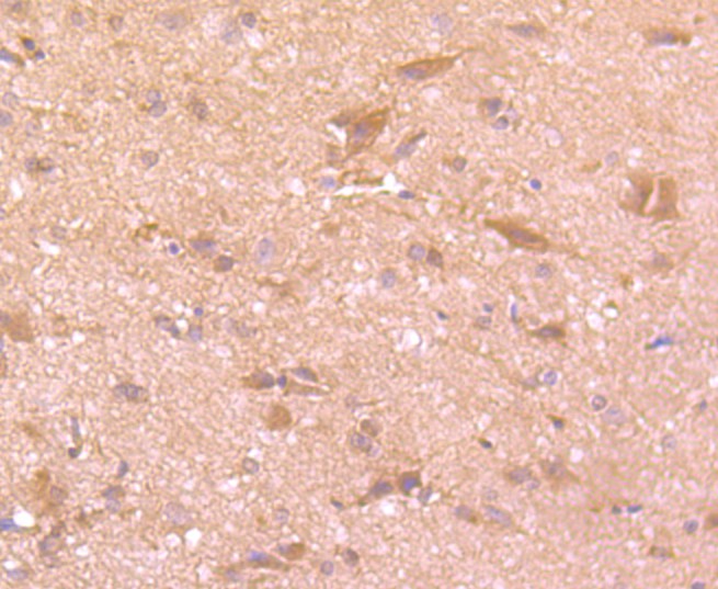 HA750338_1.jpg
