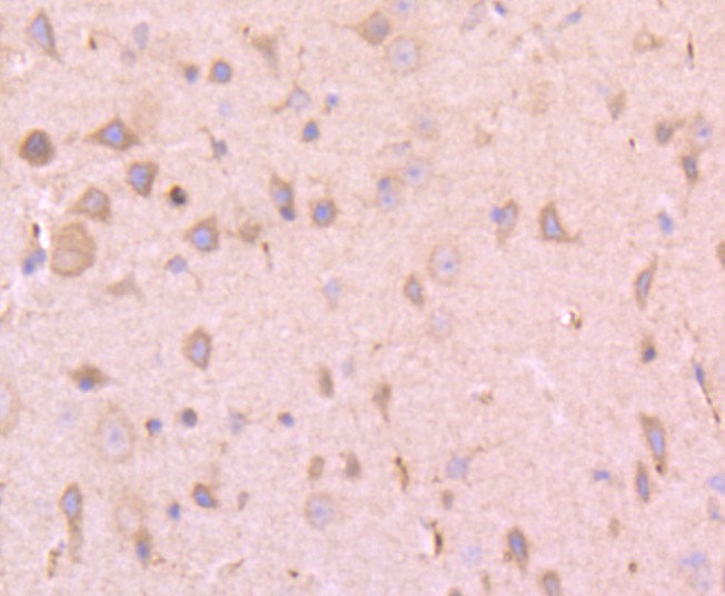 HA750338_2.jpg