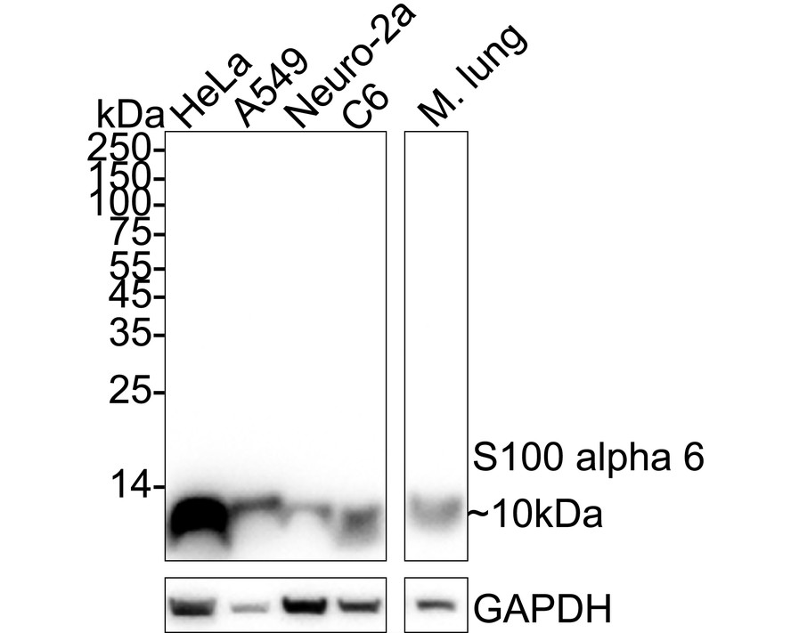 HA750342_1.jpg