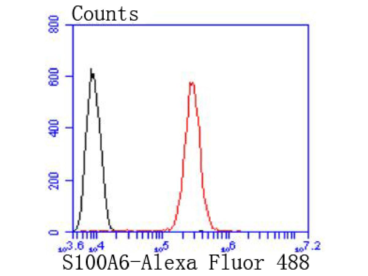 HA750342_10.jpg