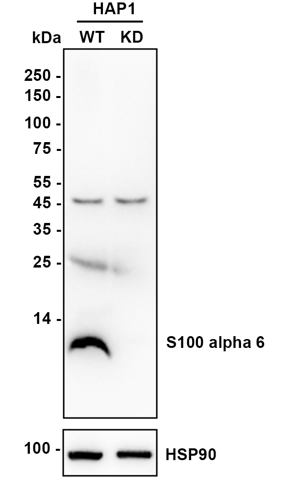 HA750342_2.jpg