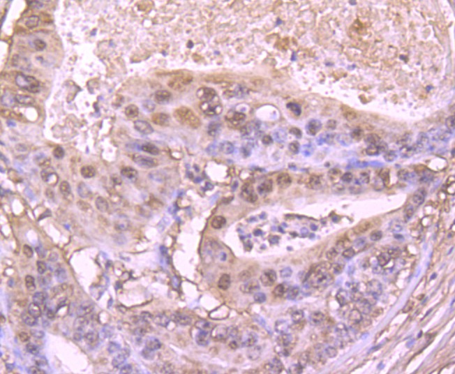 HA750342_6.jpg