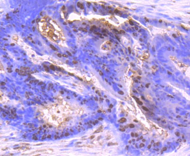HA750342_7.jpg