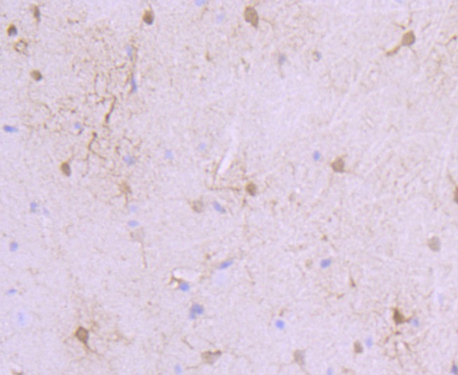 HA750342_8.jpg