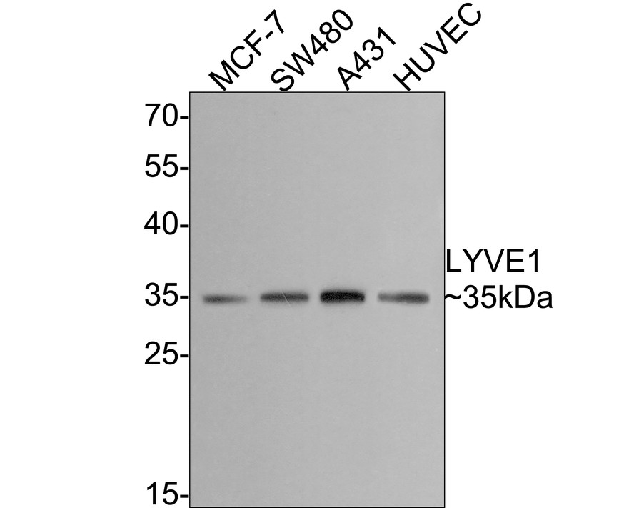 HA750343_1.jpg