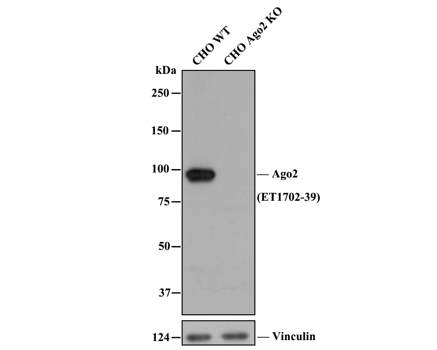 HA750344_1.jpg