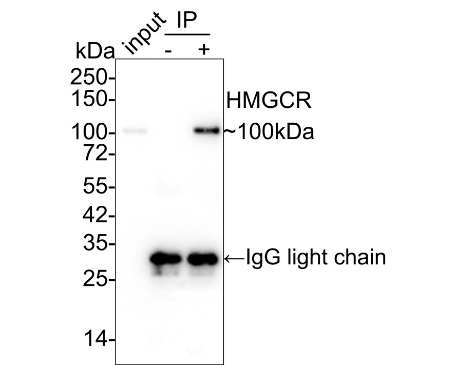 HA750345_2.jpg