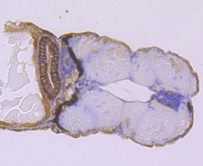 HA750346_6.jpg