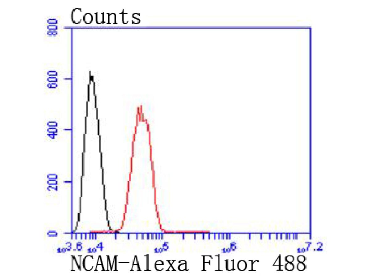 HA750346_8.jpg