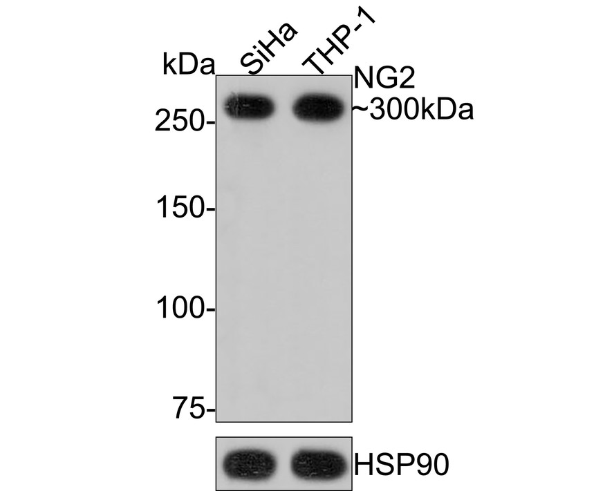 HA750372_2.jpg