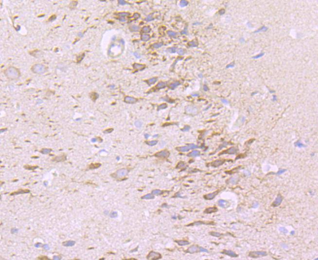 HA750372_5.jpg