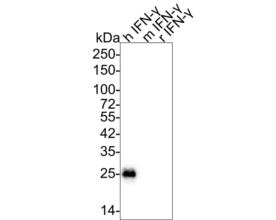 HA750373_1.jpg