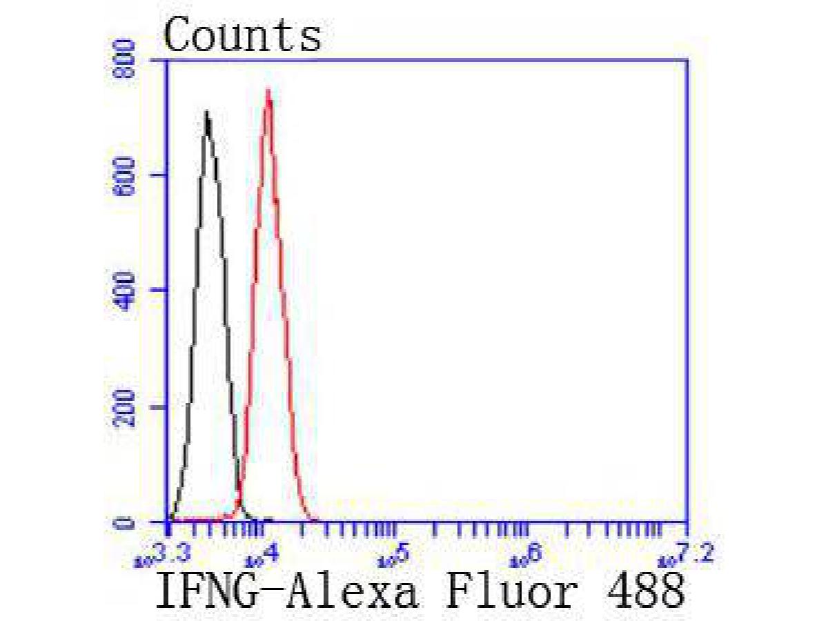 HA750373_2.jpg