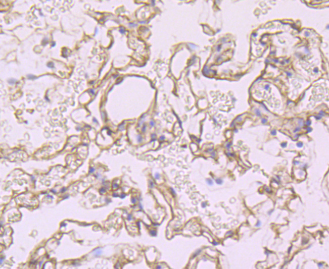 HA750381_4.jpg