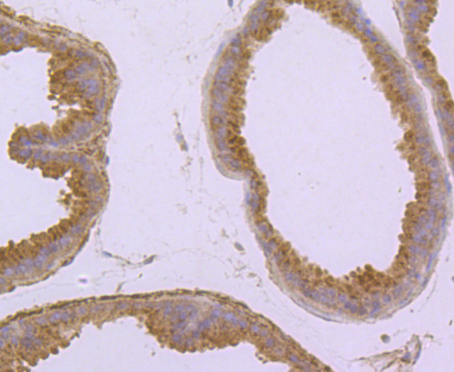 HA750381_6.jpg
