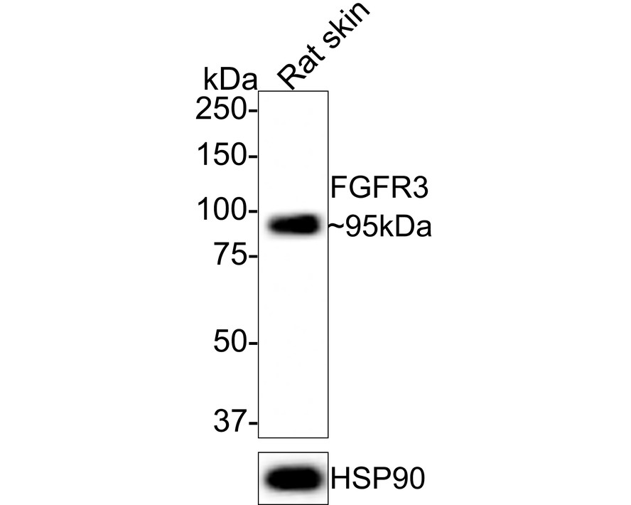 HA750388_2.jpg